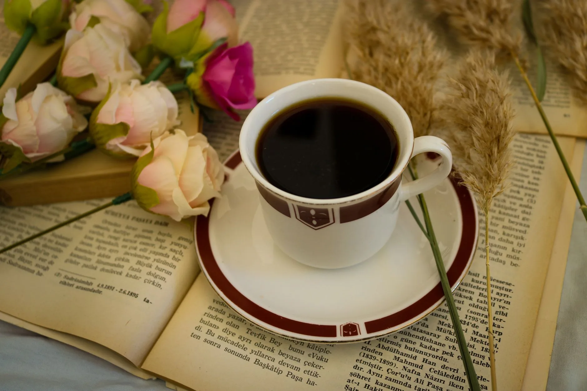 Sejarah Kopi Arabika