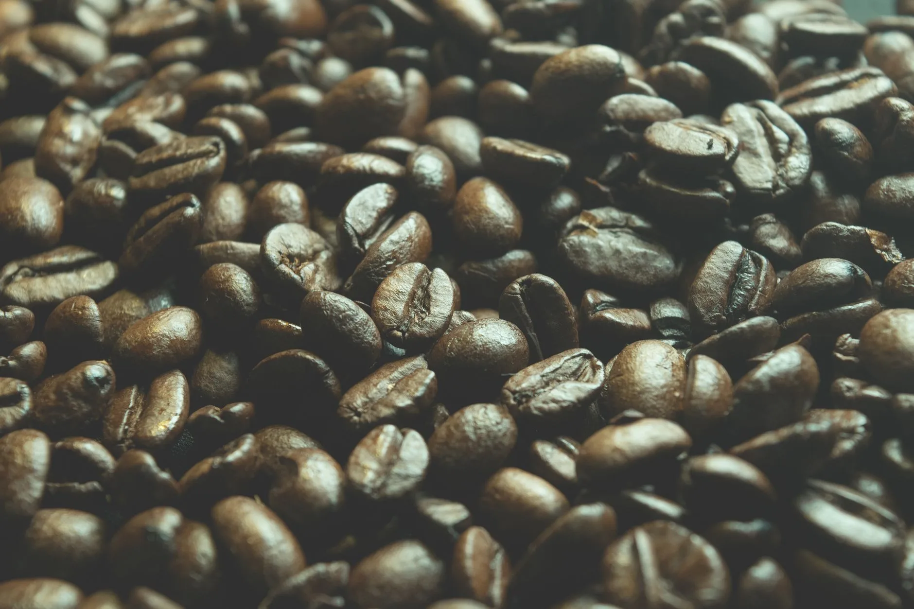 Kopi Arabika Toraja, cita rasa khas Sulawesi