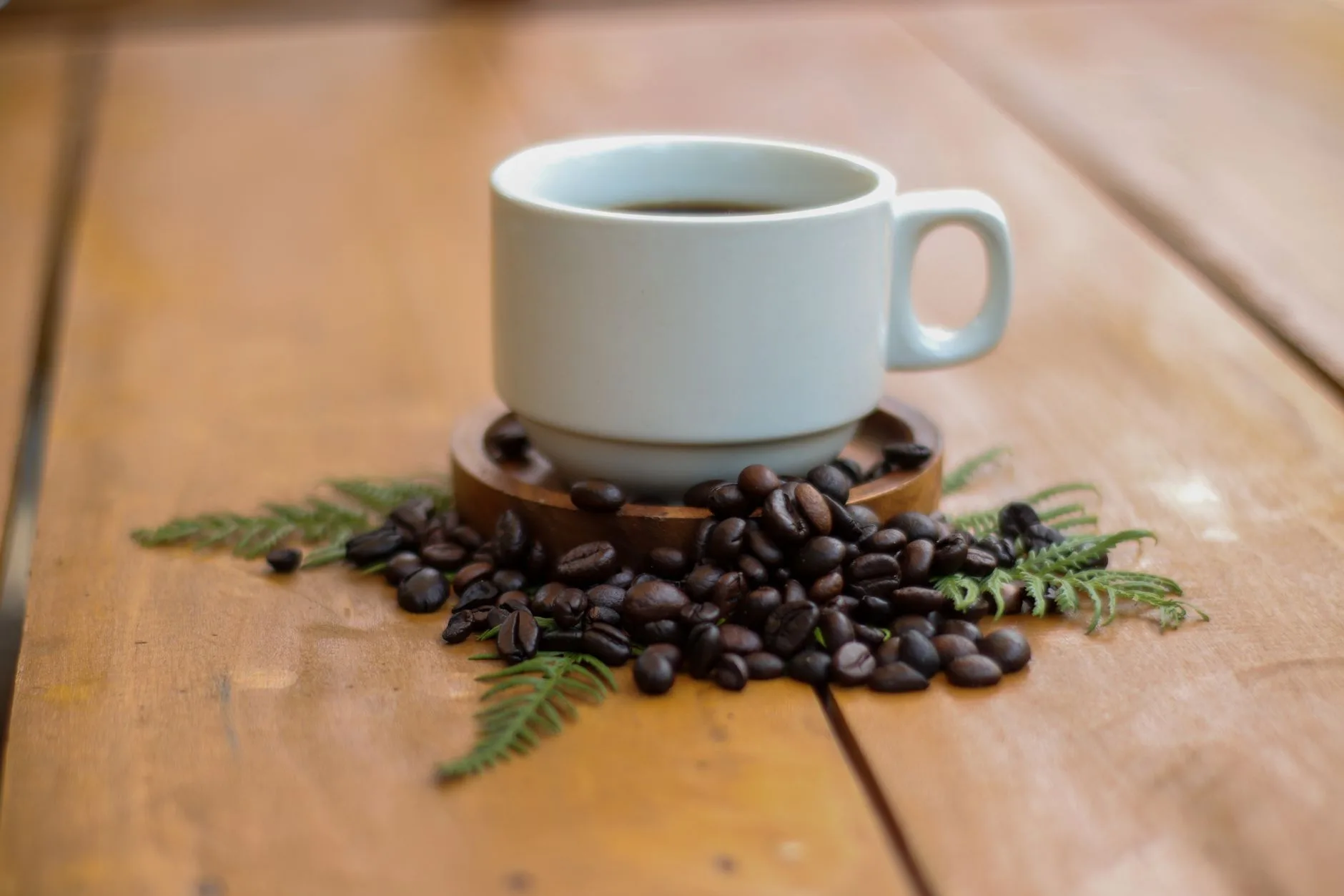Kopi Arabika Dan Antioksidan