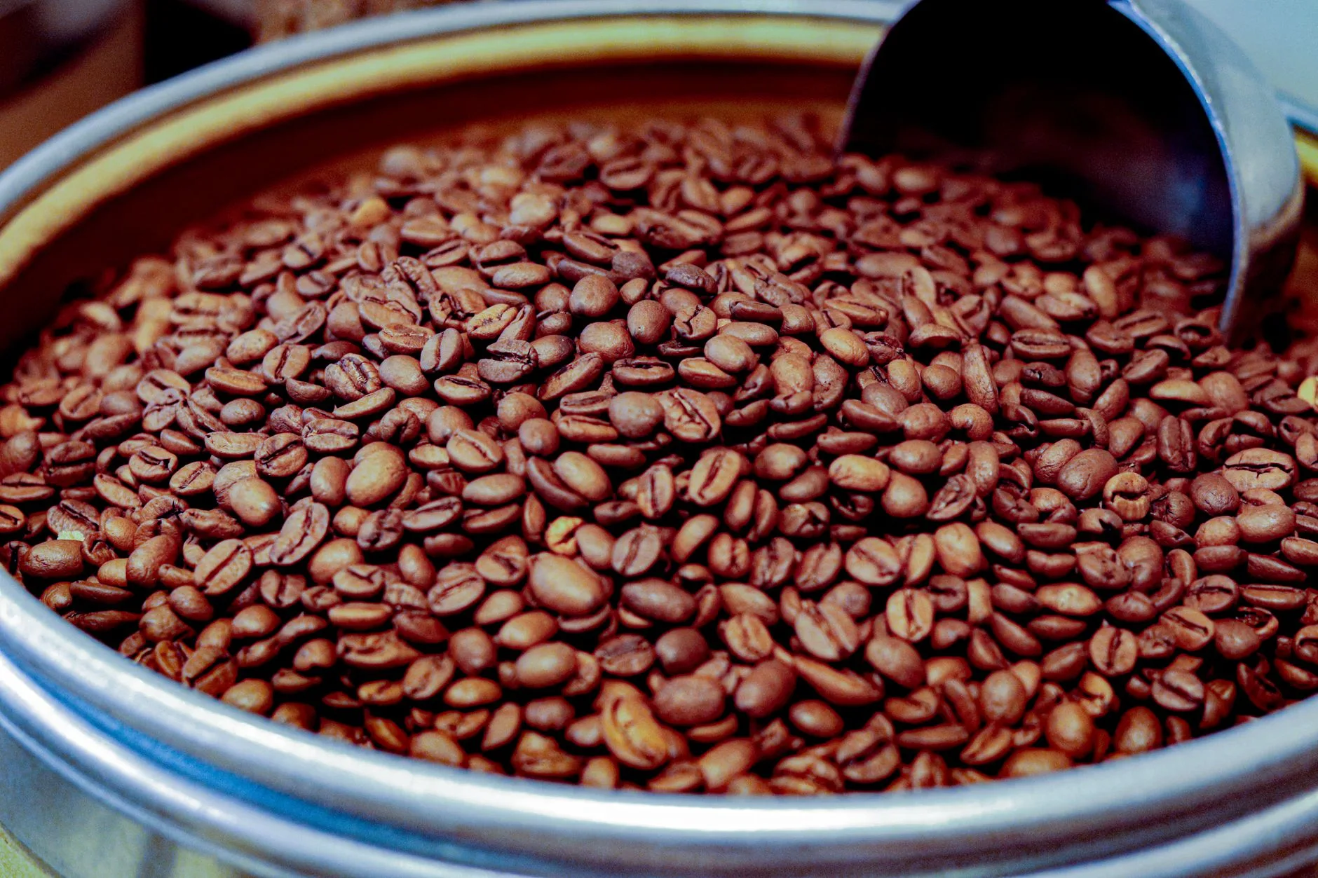 Harga Kopi Arabika Per Kilo