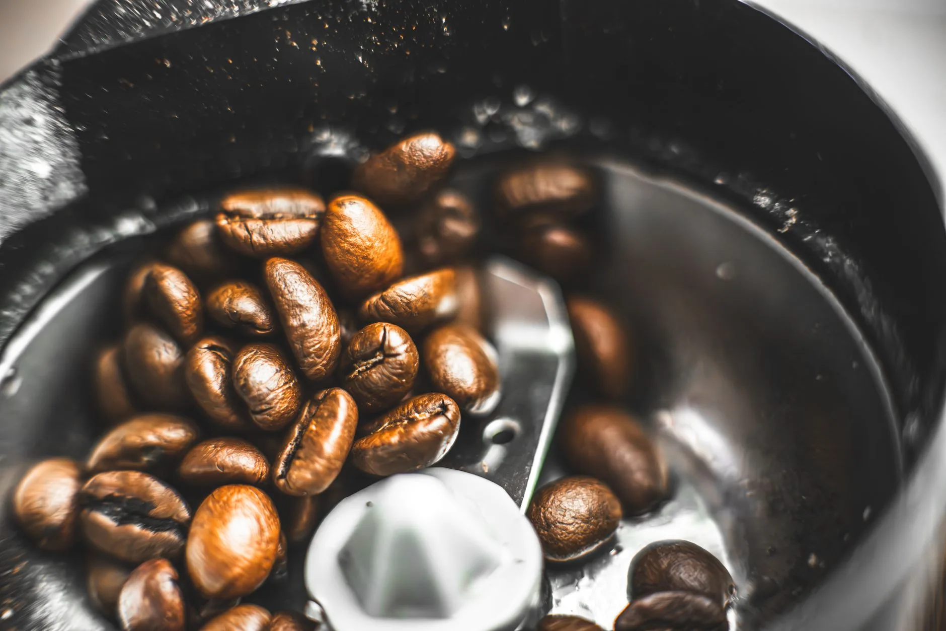 Kopi Arabika vs Robusta: Tips Review Manfaat Fakta Terbaik