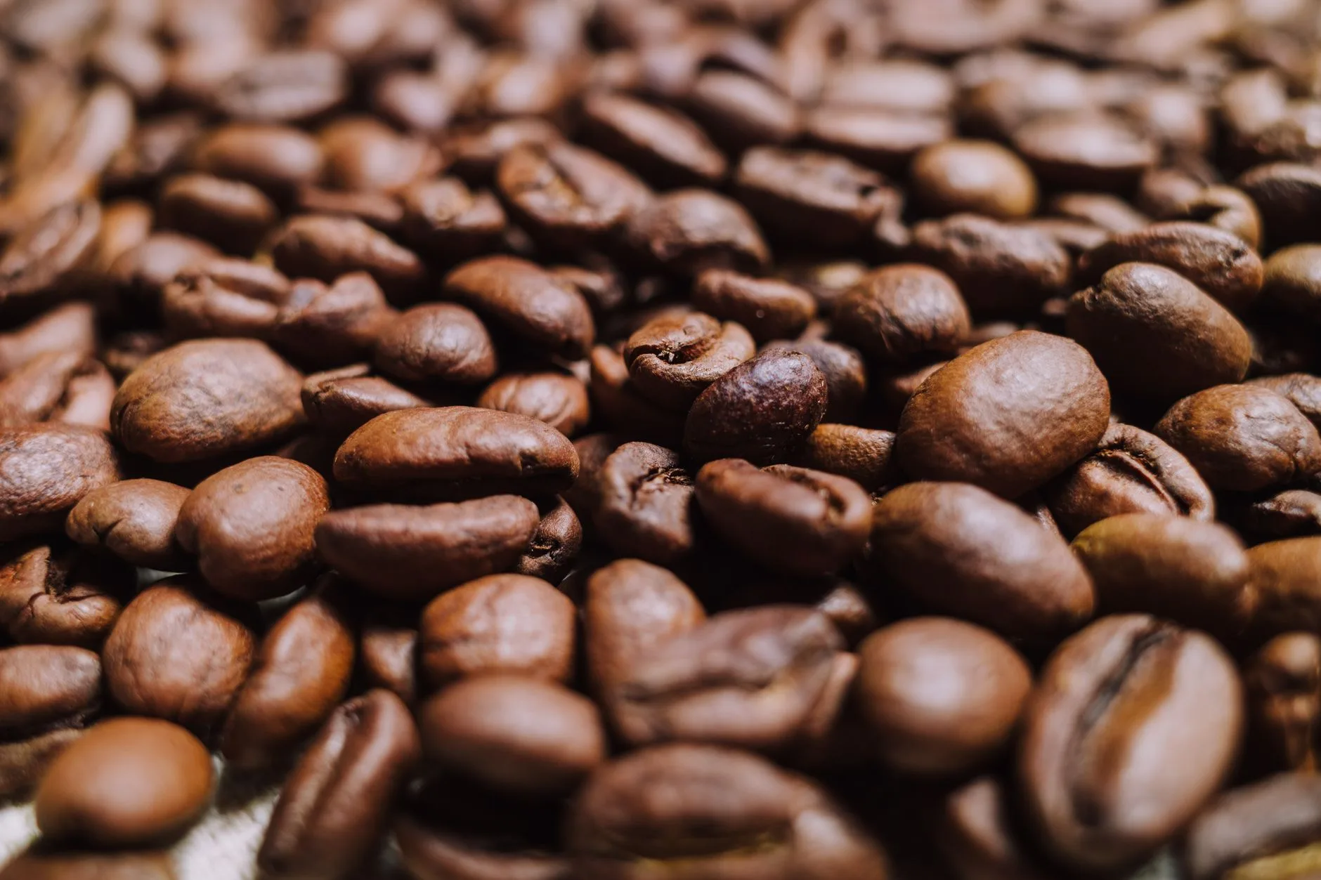 Harga Kopi Arabika Hari Ini
