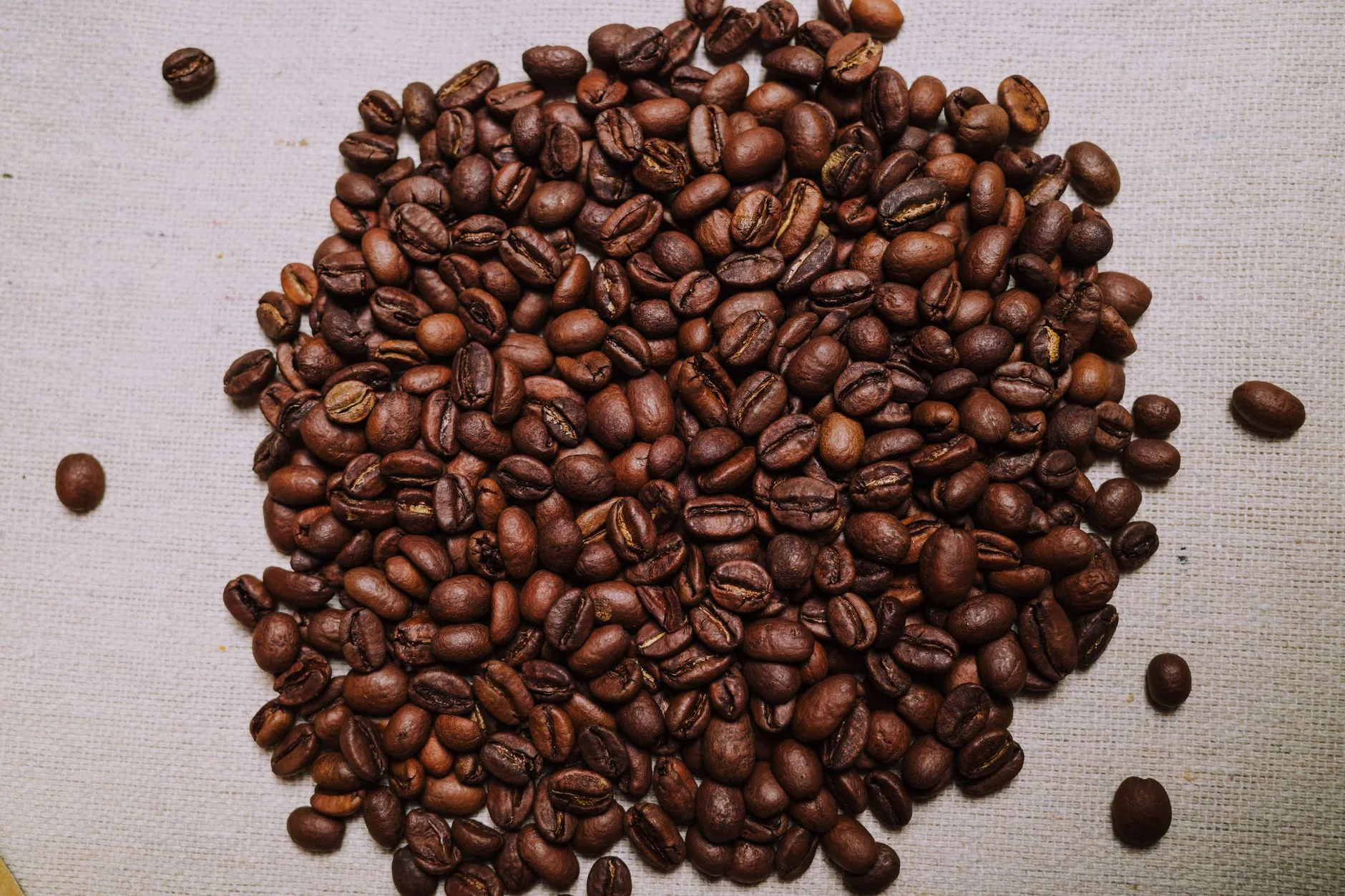 Cita rasa khas Arabika Rasanya memikat para penikmat kopi