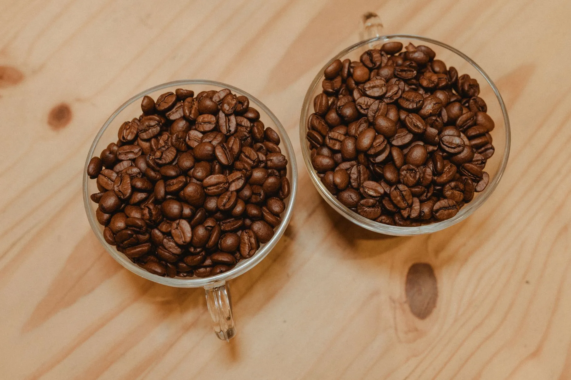 Ilustrasi Cara Memilih Kopi Arabika untuk cita rasa optimal