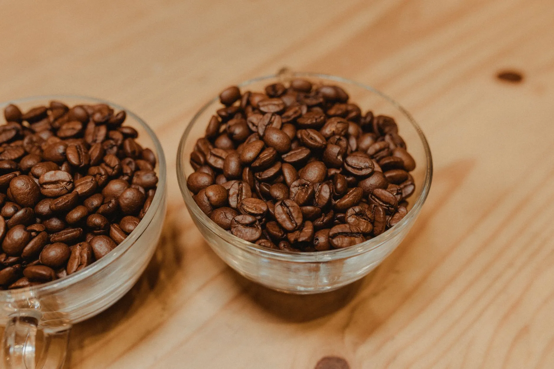 Kopi Gayo Arabika Atau Robusta