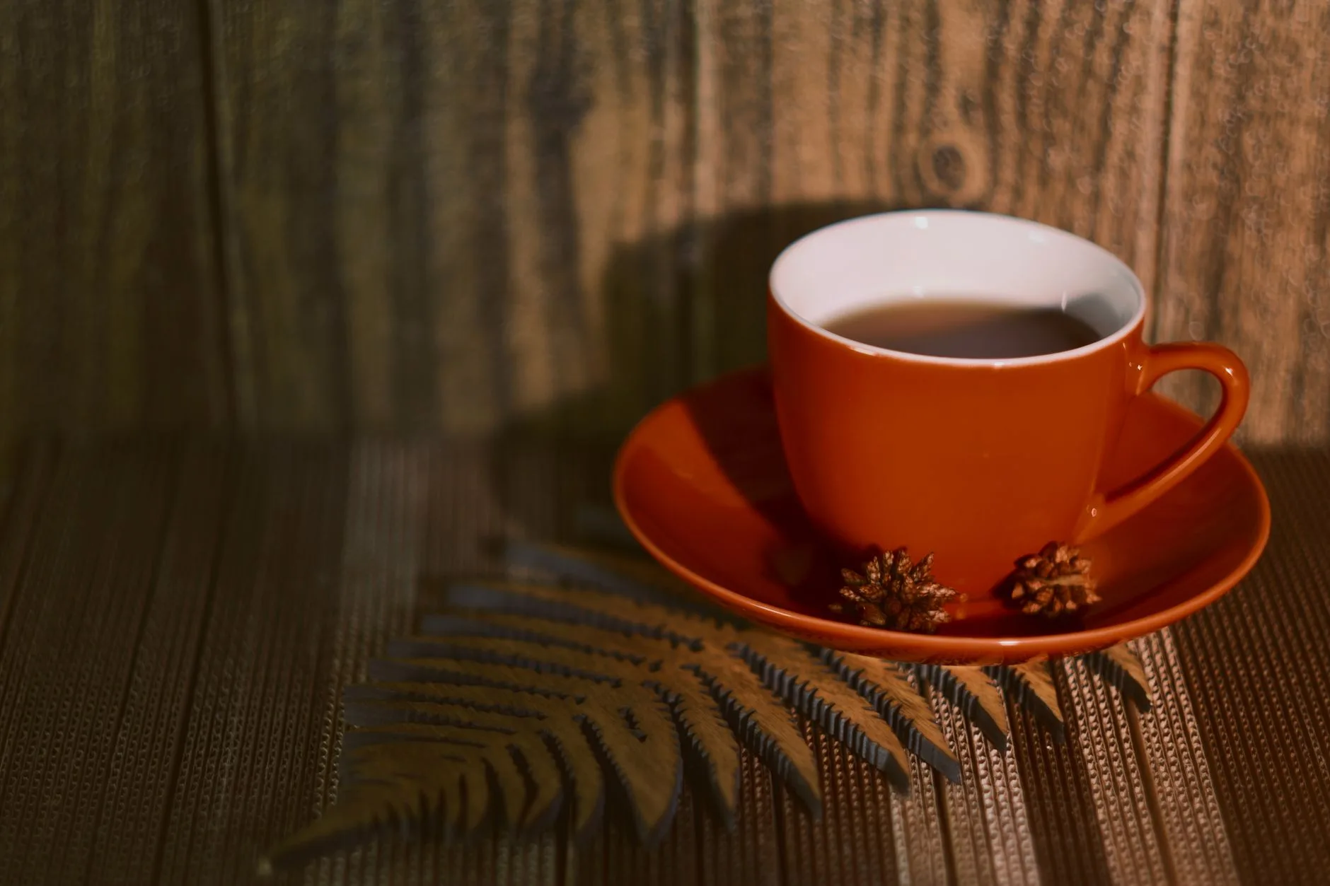 Kopi Lingzhi