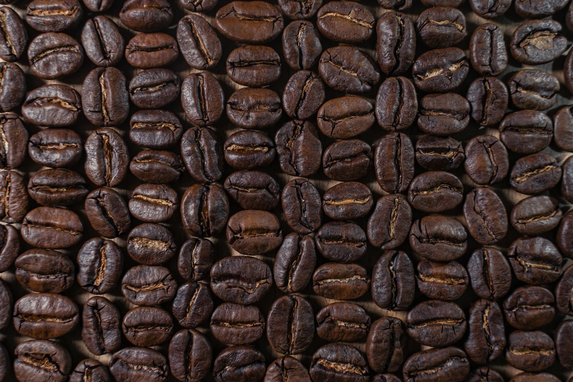 Kopi Robusta Aman Untuk Lambung