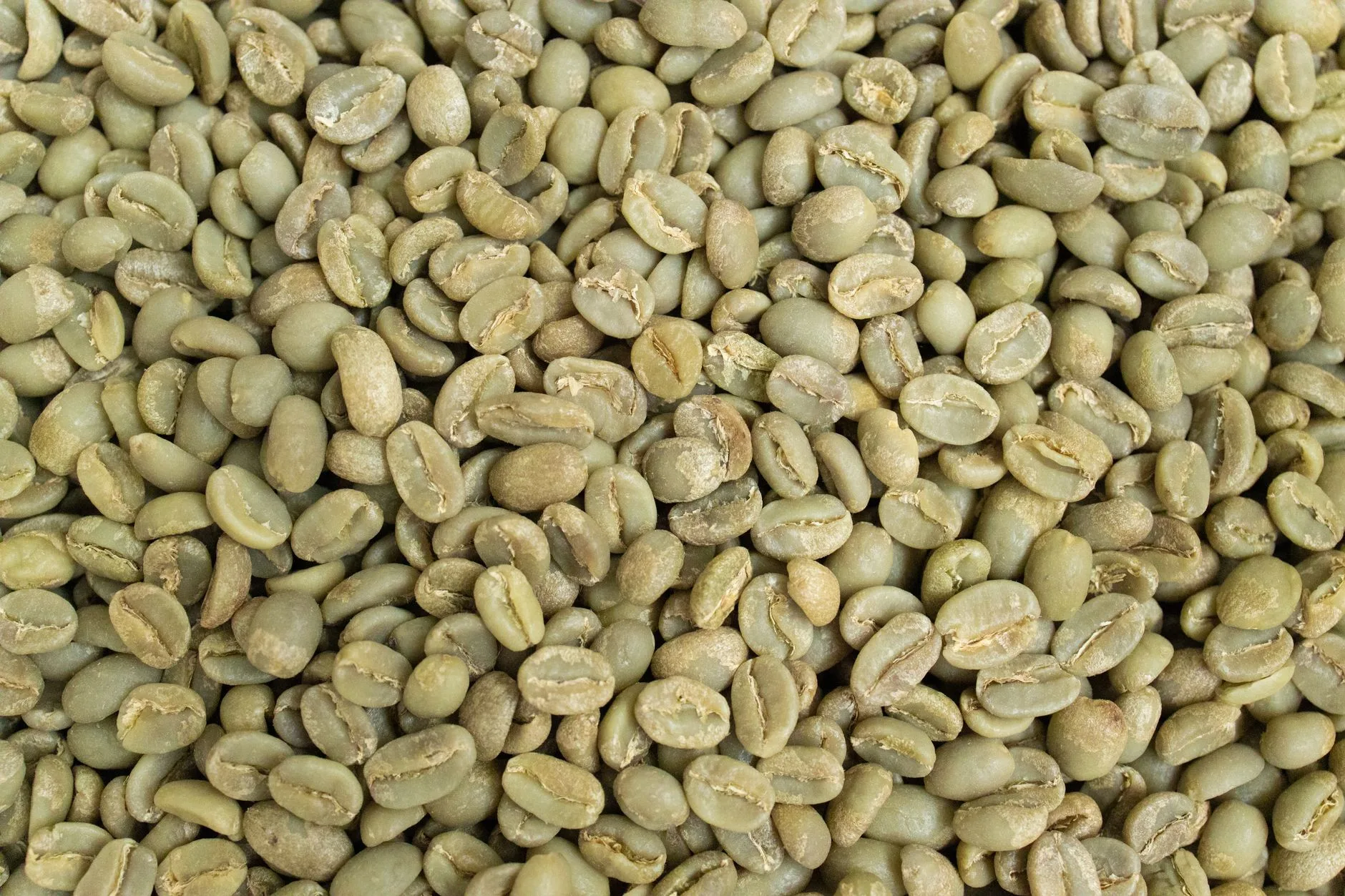 Photo by Maksim Goncharenok on Pexels | Greenbean Robusta illustration