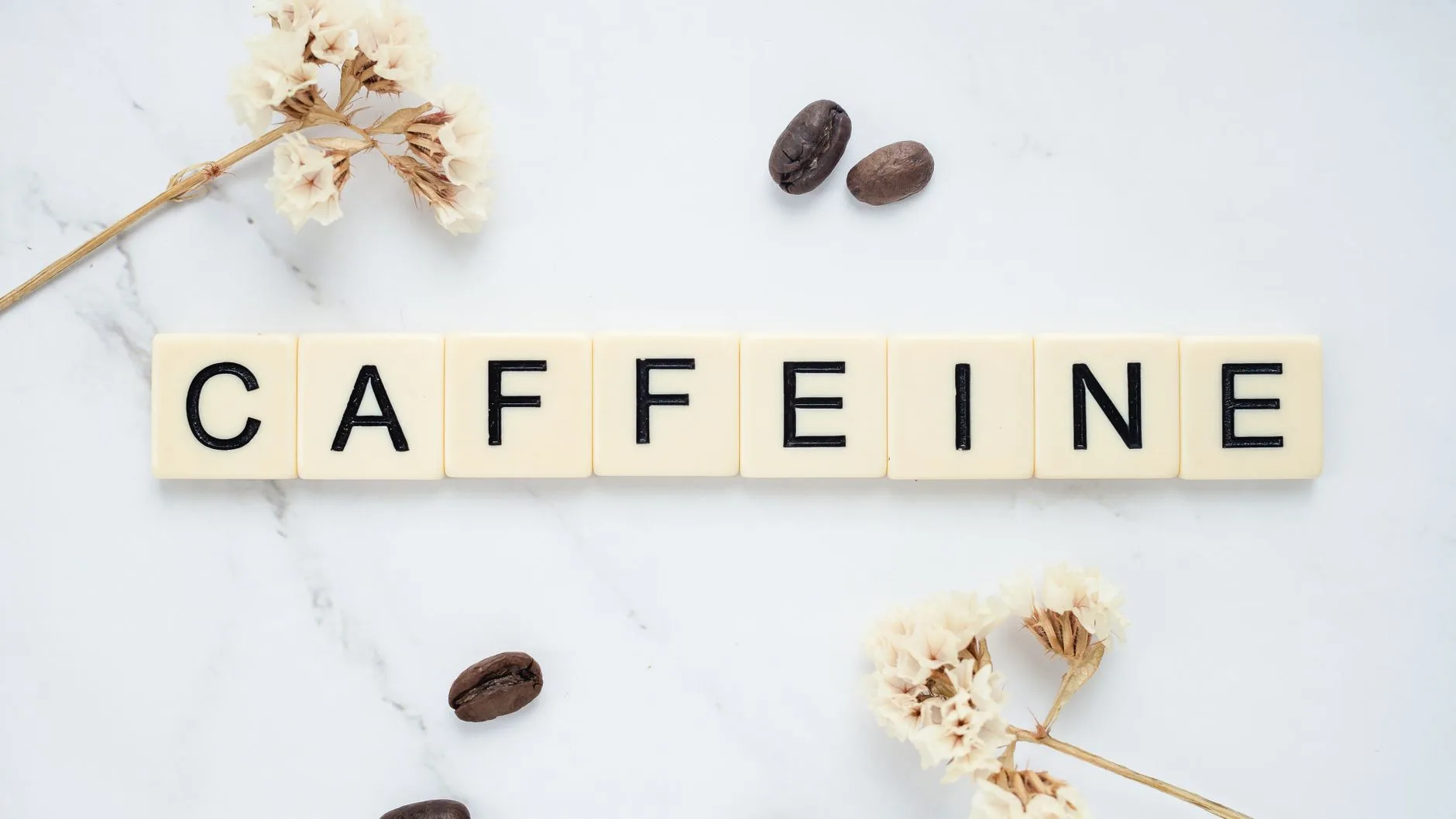 Infografis kandungan kafein kopi Arabika per takaran