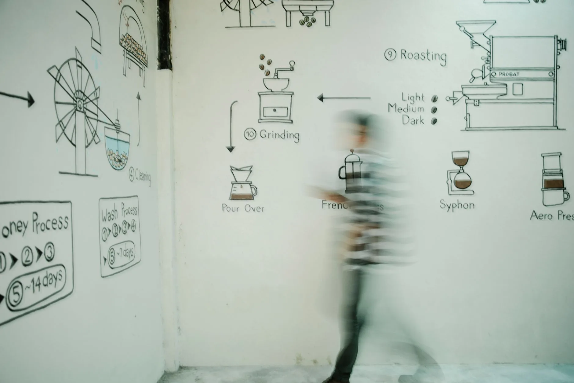 Photo by Michael Burrows on Pexels | Kopi Arabika Kintamani illustration