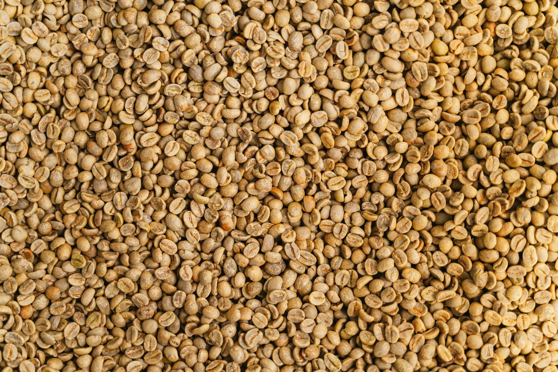 Photo by AI25.Studio Studio on Pexels | Harga Biji Kopi Robusta Kering illustration
