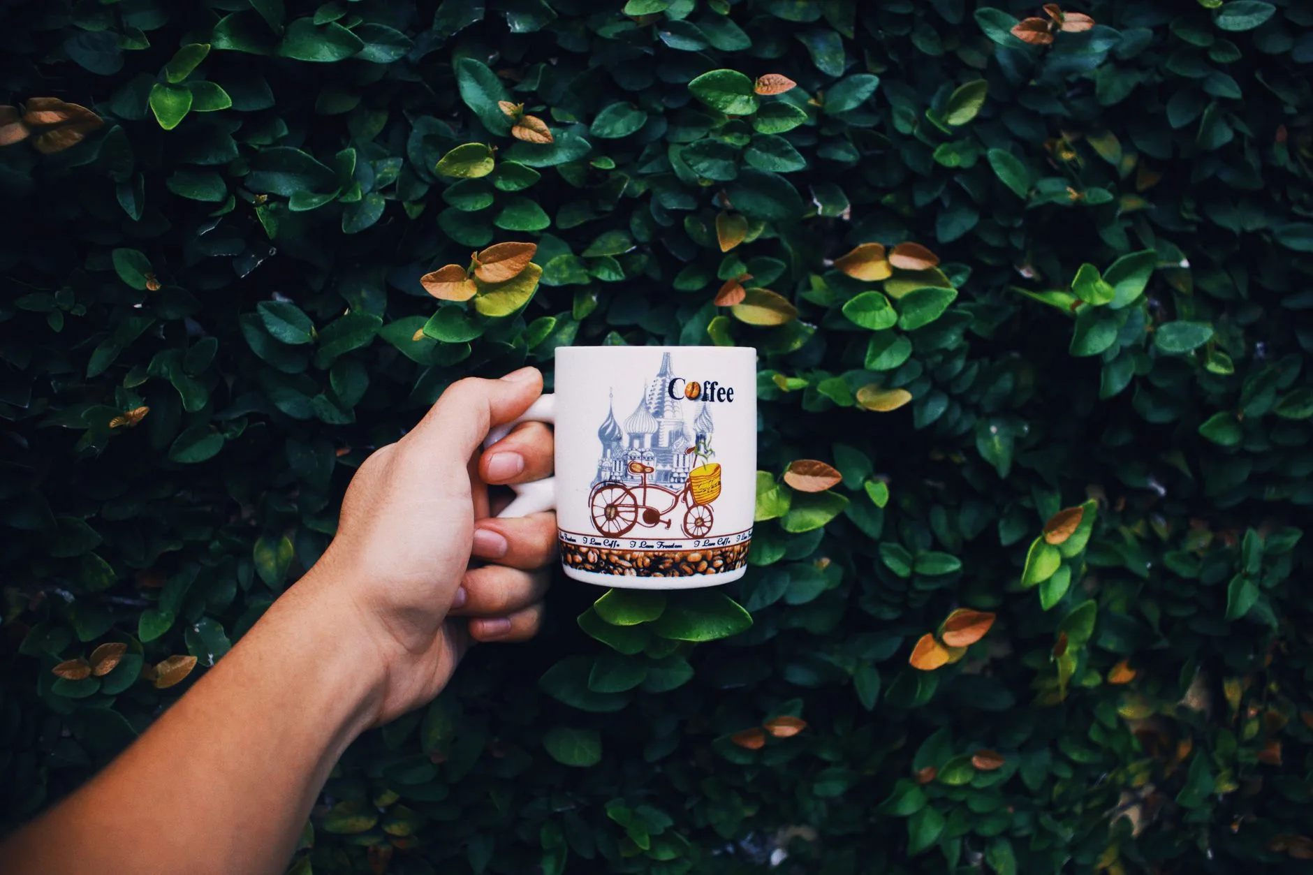 Apa Itu Kopi Arabika? 7 Tips, Cara & Fakta Lengkap Terbaik