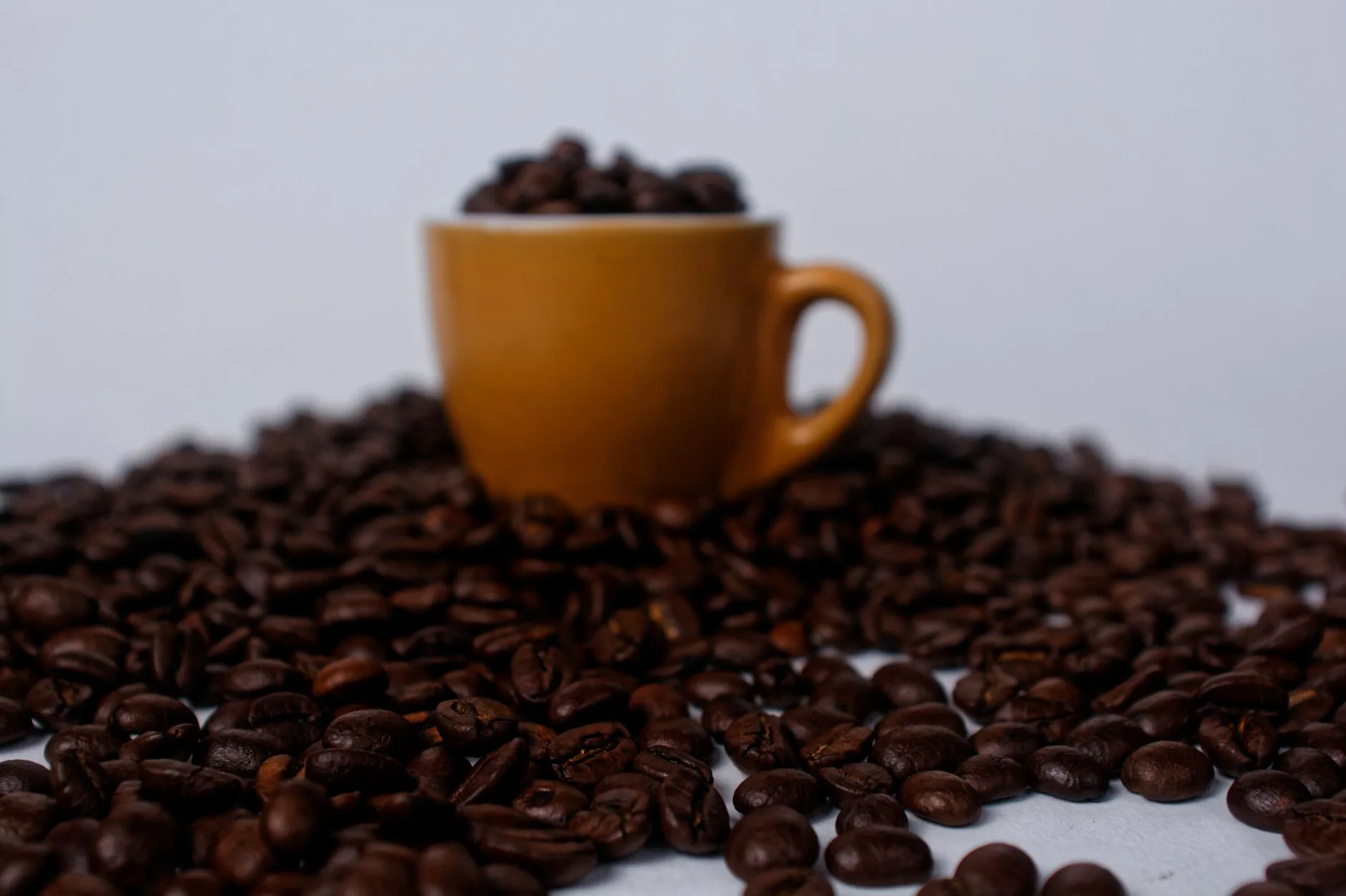 Jenis Kopi Arabika